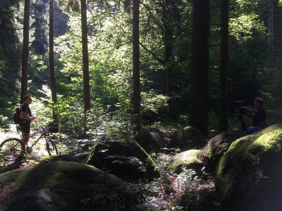Waldchalet Am Steinberg